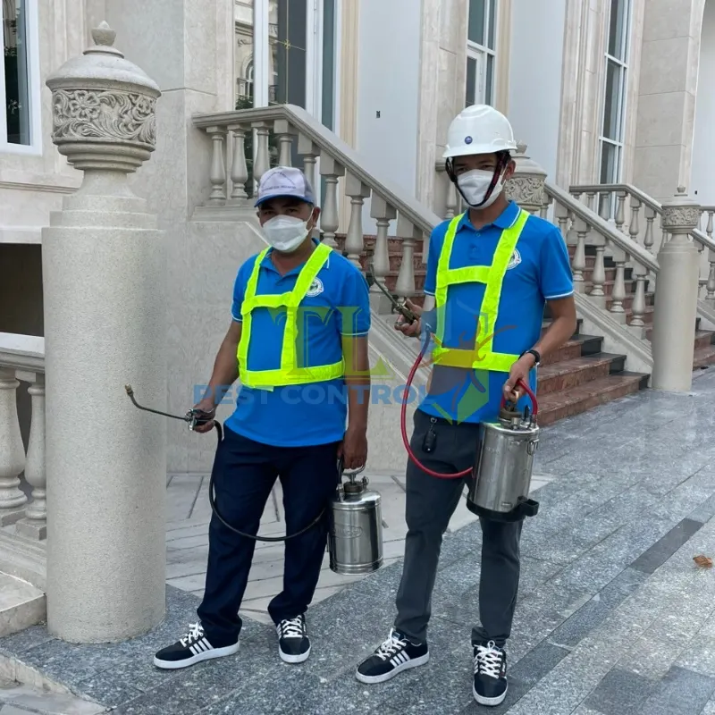 diệt mối bình thạnh diệt mối bình thạnh