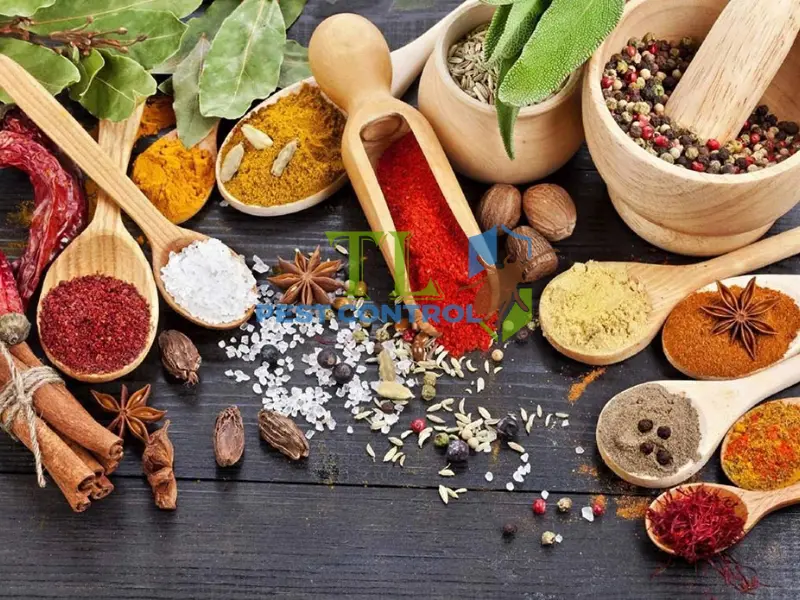 mùi hương đuổi kiến mùi hương đuổi kiến