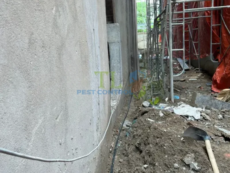 dịch vụ phòng chống mối dịch vụ phòng chống mối