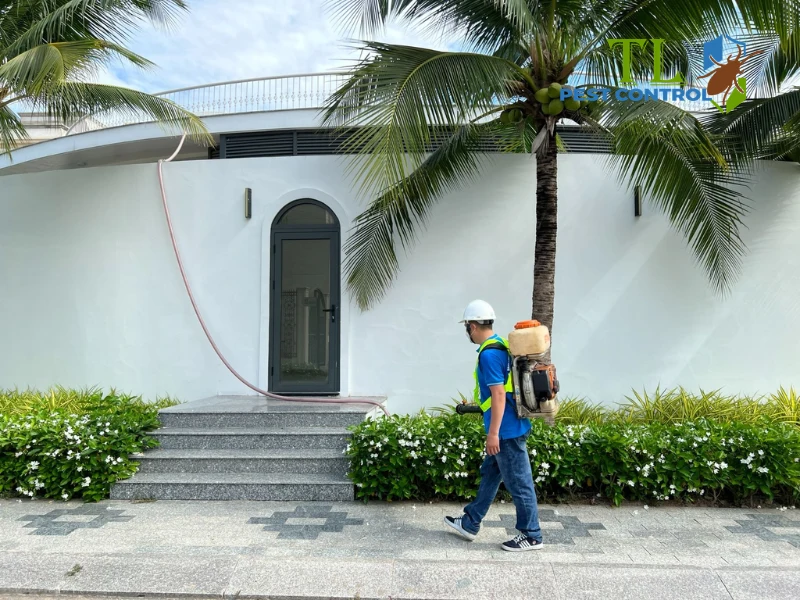 thuốc diệt mối có mùi không