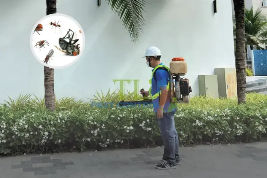 Dịch Vụ Phun Thuốc Muỗi Hà Nội Chuyên Nghiệp, An Toàn, Giá Rẻ