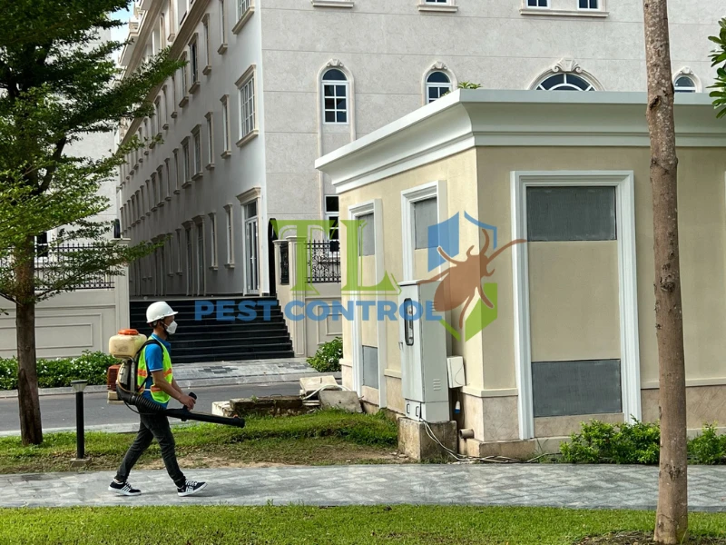 Mùi hương đuổi kiến 