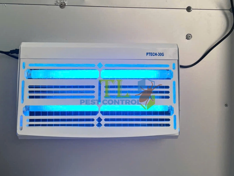 cách diệt ruồi trâu cách diệt ruồi trâu