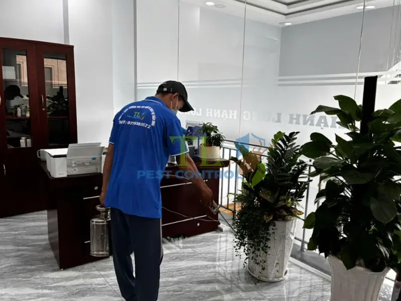 diệt mối quận 8