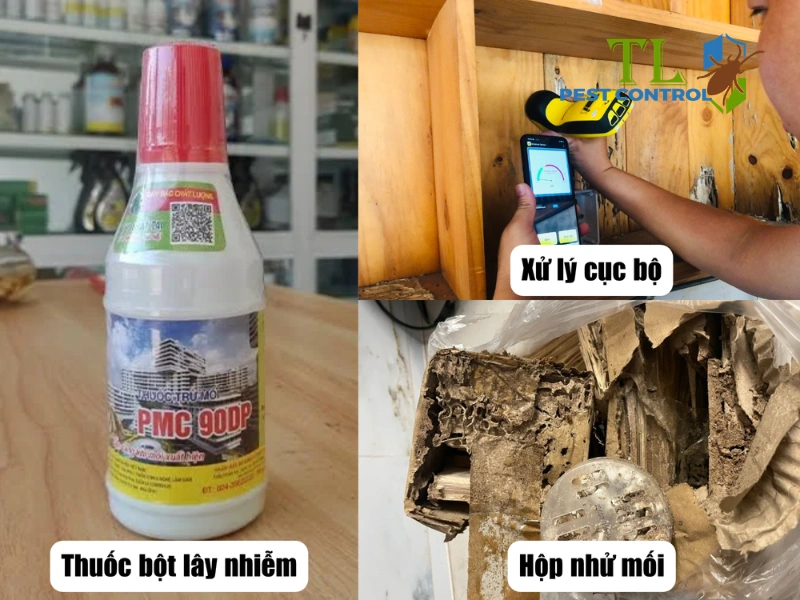 diệt mối có cần ra khỏi nhà không