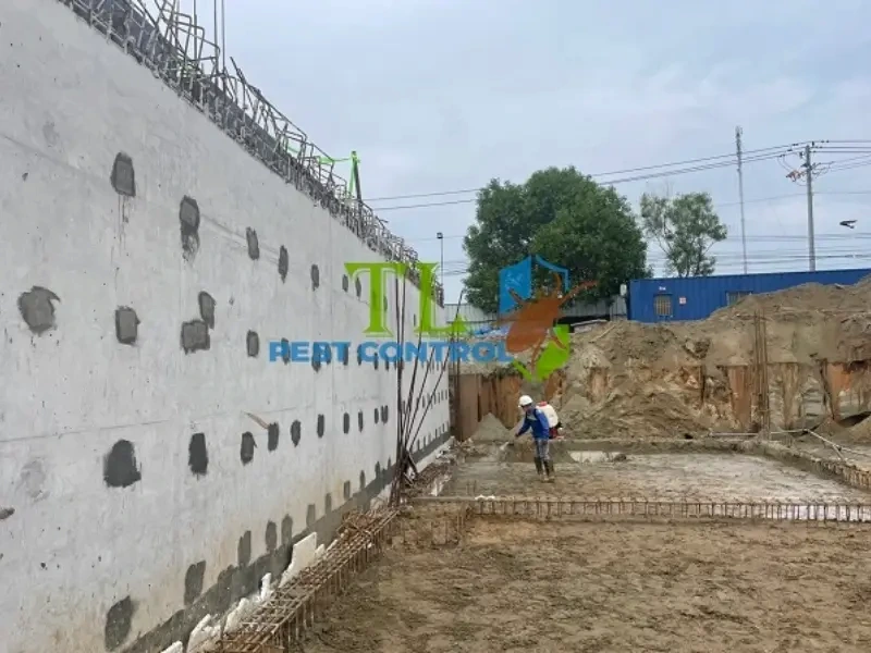 Quy trình diệt mối tại Trần Long Quy trình diệt mối tại Trần Long