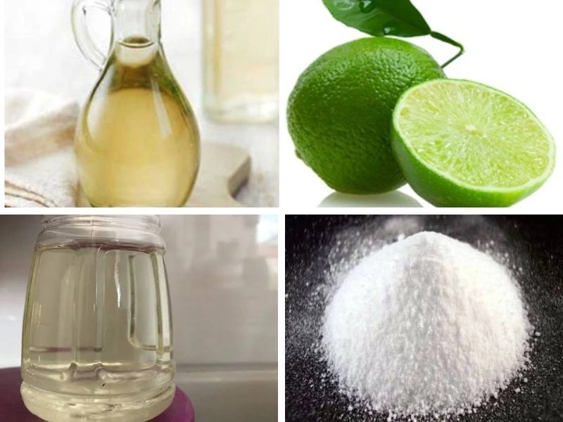 cách diệt mối tủ bếp