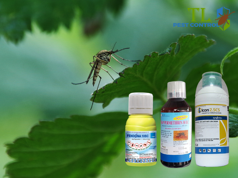 Các loại hóa chất diệt muỗi phổ biến