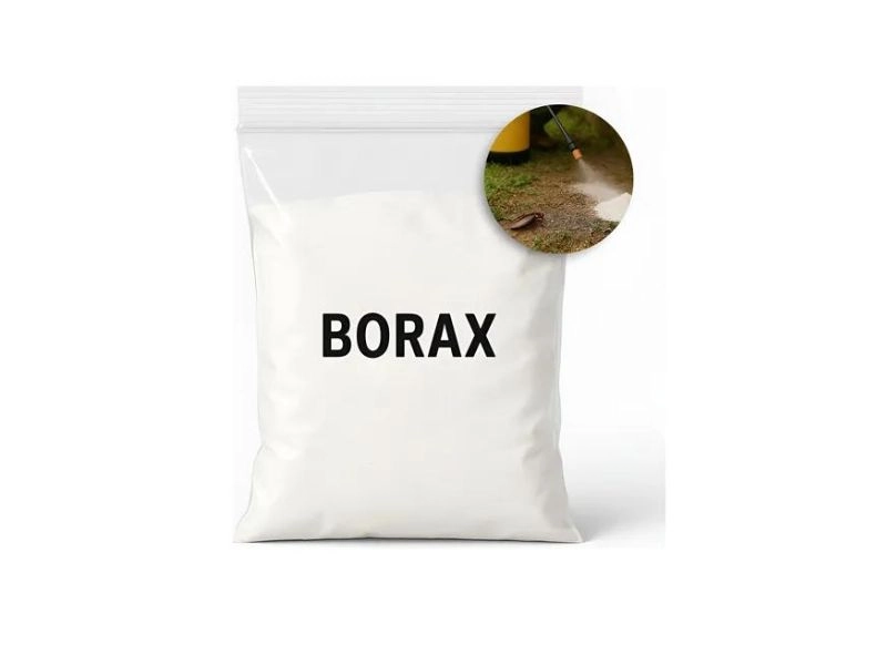 diệt mối bằng phương pháp sinh học