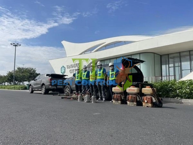 diệt mối cho khách sạn diệt mối cho khách sạn