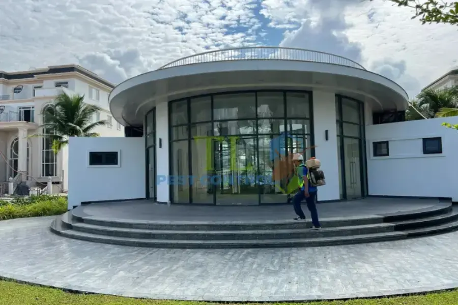 Dịch Vụ Diệt Muỗi Cần Thơ Uy Tín, Giá Rẻ, Chất Lượng