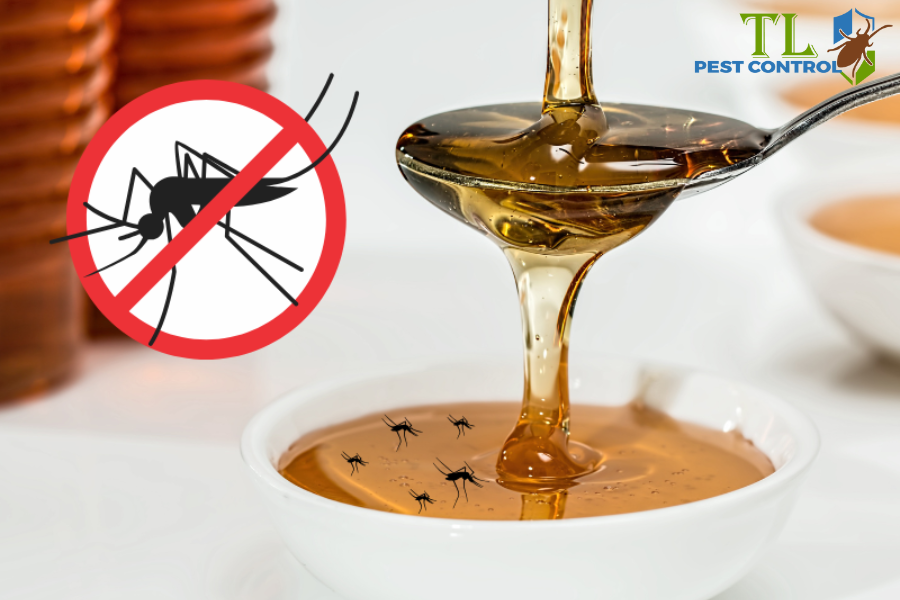 Hướng Dẫn Cách Làm Bẫy Muỗi Bằng Nước Đường Đơn Giản, Hiệu Quả Tại Nhà