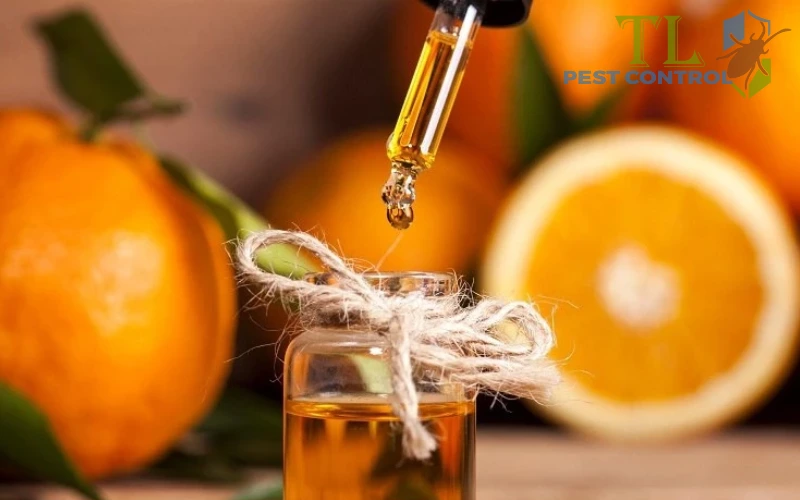 Sử dụng tinh dầu để diệt bồ hóng 