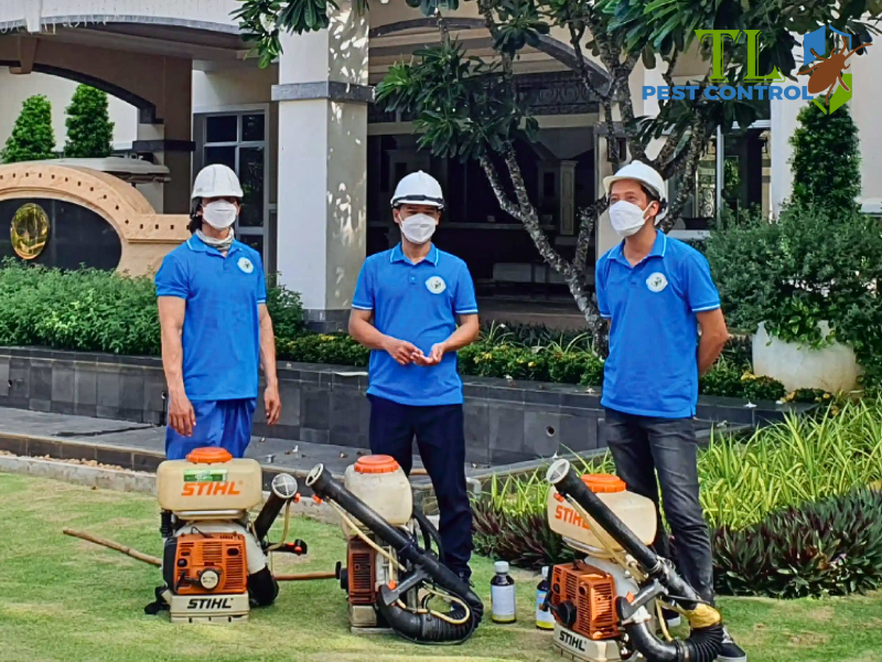 Dịch vụ diệt muỗi chuyên nghiệp