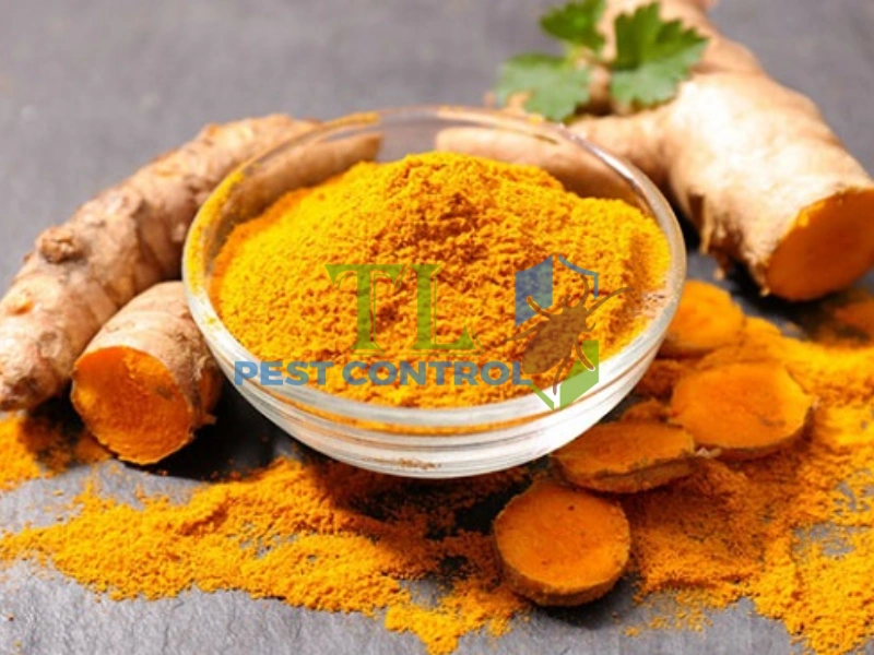 cách diệt mối trong tủ quần áo