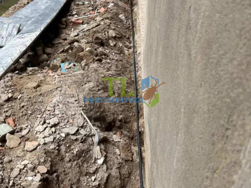 dịch vụ phòng chống mối dịch vụ phòng chống mối