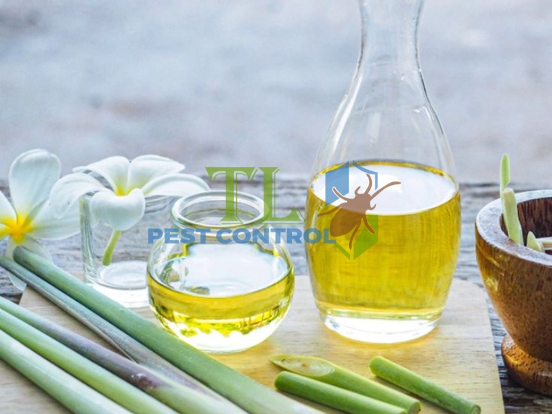 cách làm tinh dầu đuổi muỗi tại nhà