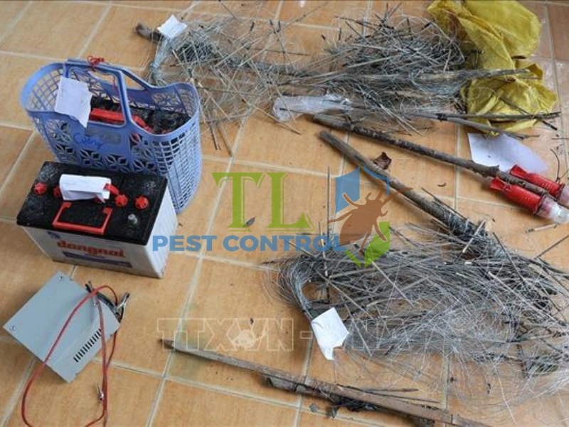 bẫy chuột nhắt