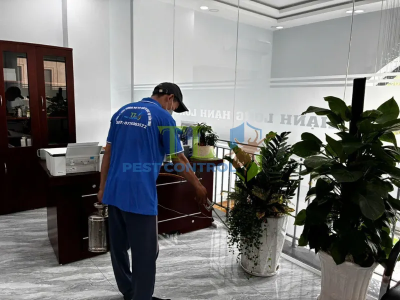 Bảng giá diệt mối cho chung cư, căn hộ