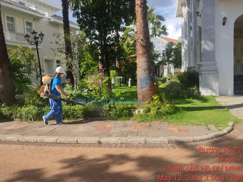 Phun thuốc bột sinh học