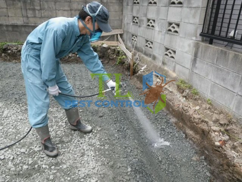 thuốc diệt mối termize thuốc diệt mối termize