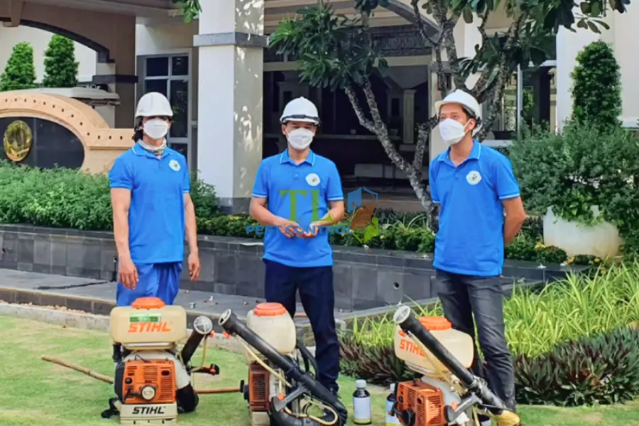 Diệt mối phường Phú Thọ