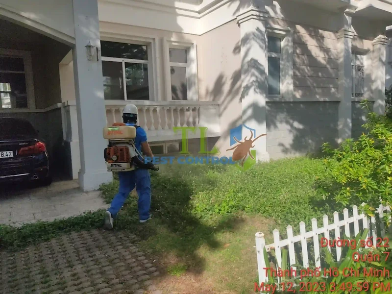 diệt mối tại quận 2