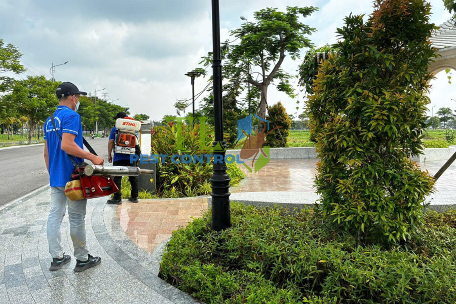 Diệt mối phường Minh Phụng