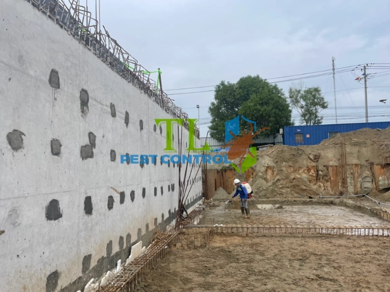 Tại sao bạn nên chọn dịch vụ đào hào chống mối của Trần Long?