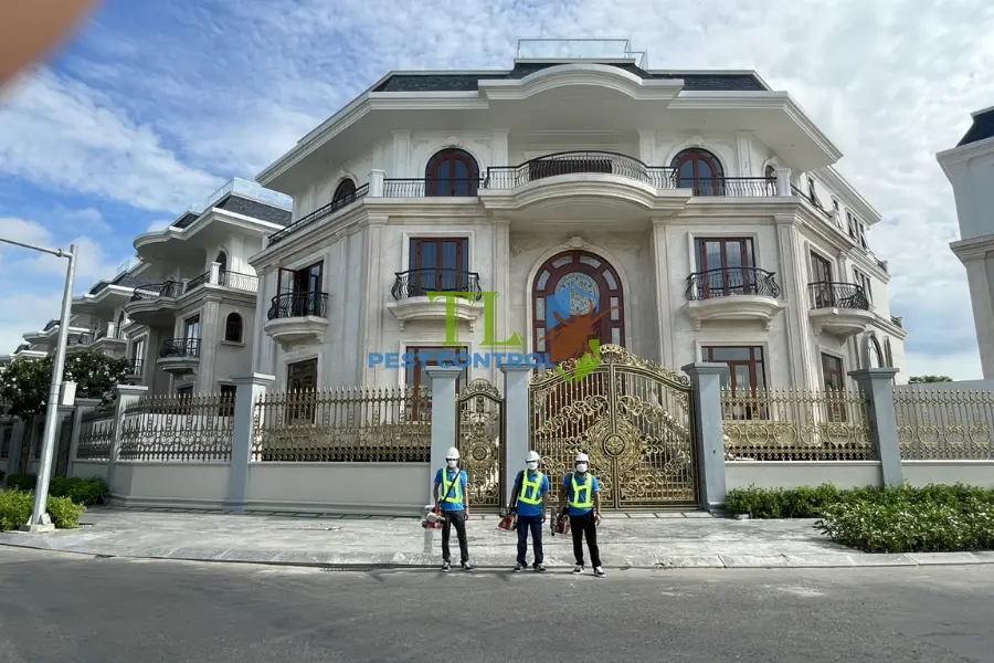 Thuốc Diệt Muỗi Có Ảnh Hưởng Sức Khỏe Không?