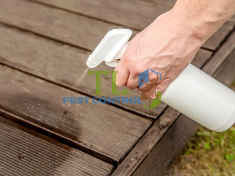 thuốc xịt kiến có độc không thuốc xịt kiến có độc không