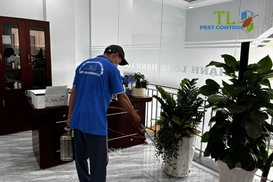 Giải pháp diệt chuột chuyên nghiệp từ Trần Long 