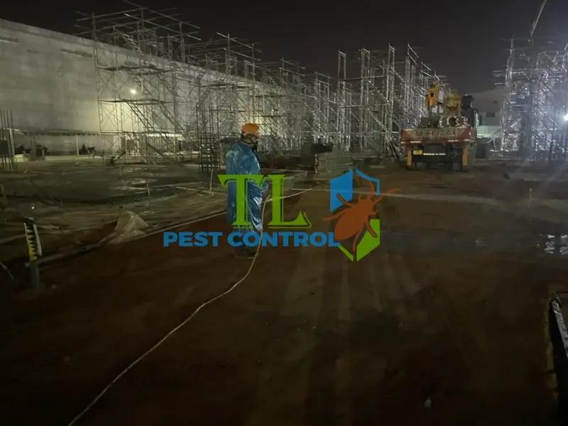 Trần Long là địa chỉ diệt mối tận gốc tại nhà uy tín, triệt để và an toàn