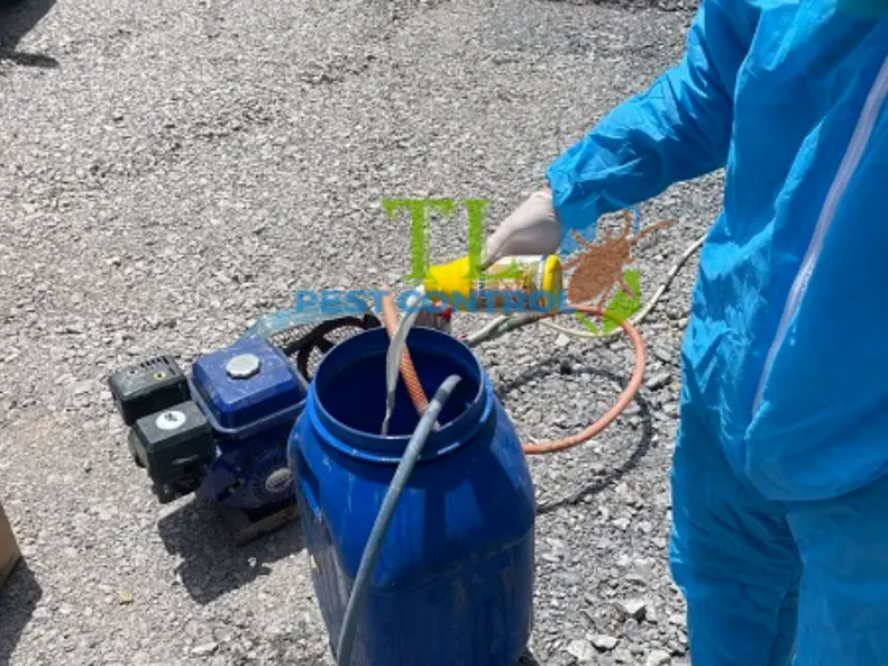 Hướng dẫn sử dụng thuốc diệt mối tận gốc an toàn và hiệu quả