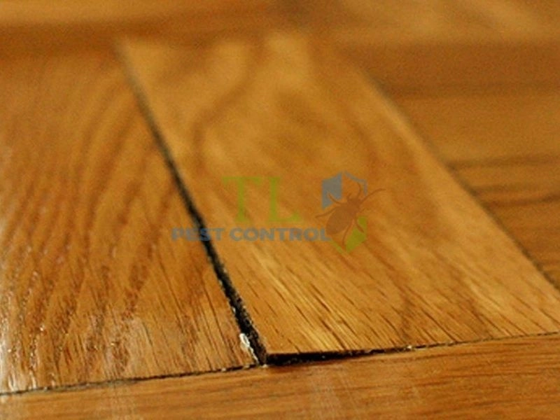 Cửa, tủ, khung gỗ bị cong vênh hoặc khó đóng mở