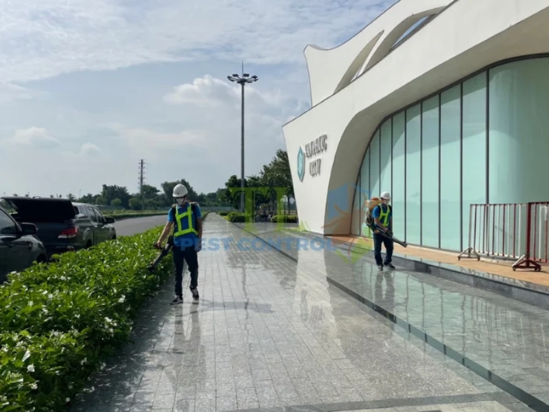 diệt mối nền nhà 