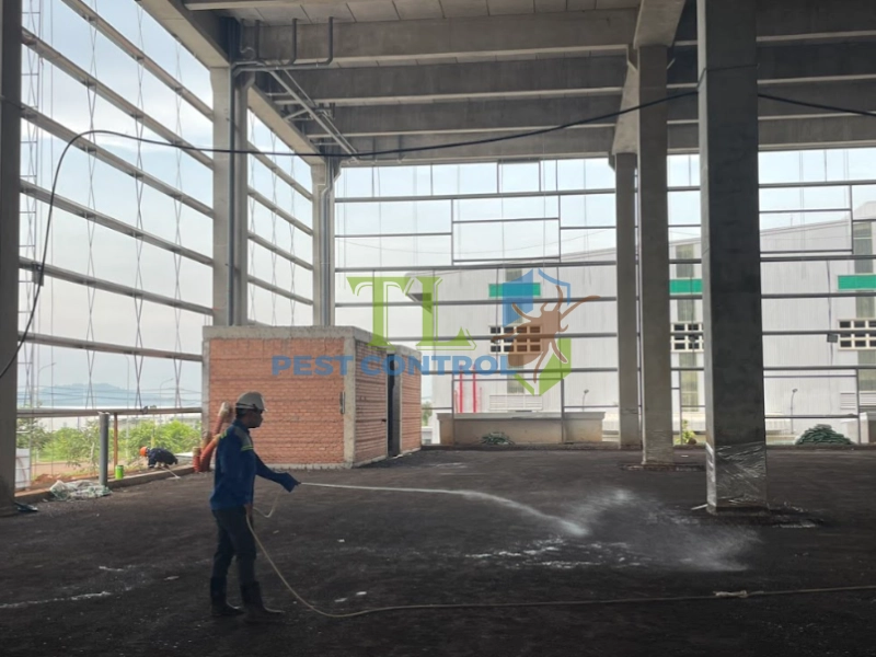 Quy trình triển khai dịch vụ diệt mối Bình Thạnh chuyên nghiệp của Trần Long