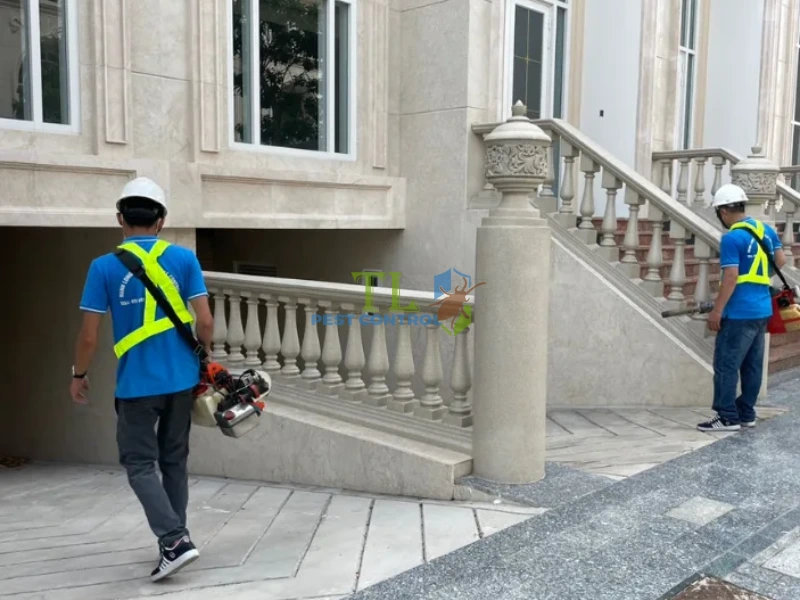 dịch vụ diệt rệp dịch vụ diệt rệp