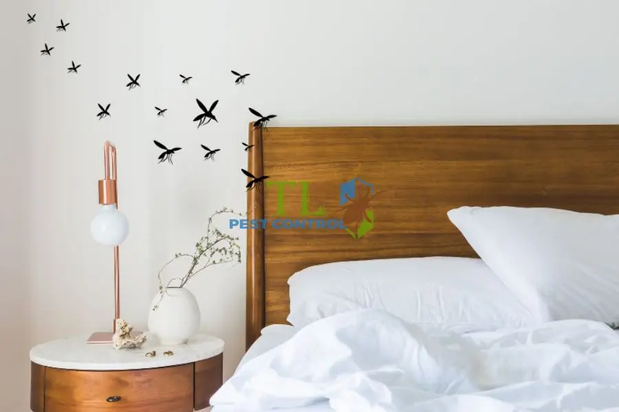 Các Cách Diệt Muỗi Nhà Hàng Khách Sạn Hiệu Quả Và An Toàn 