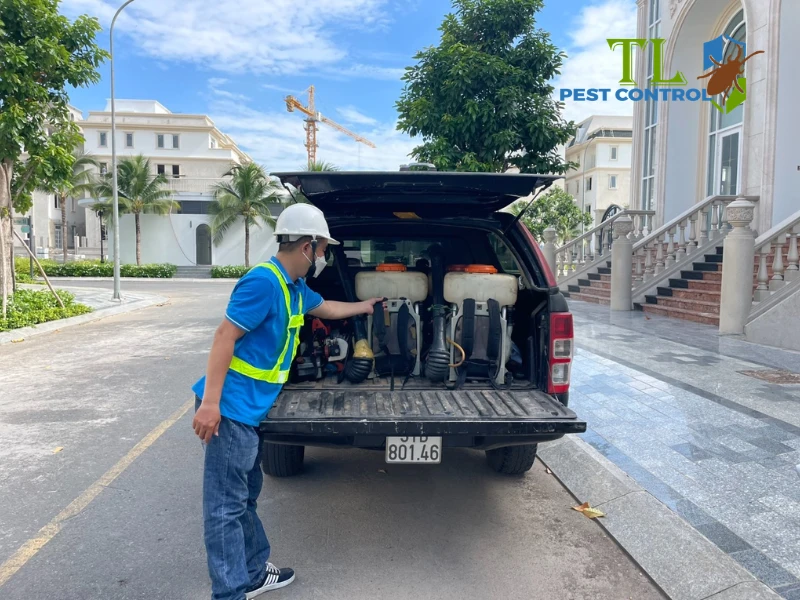 diệt mối tại nhà có an toàn không
