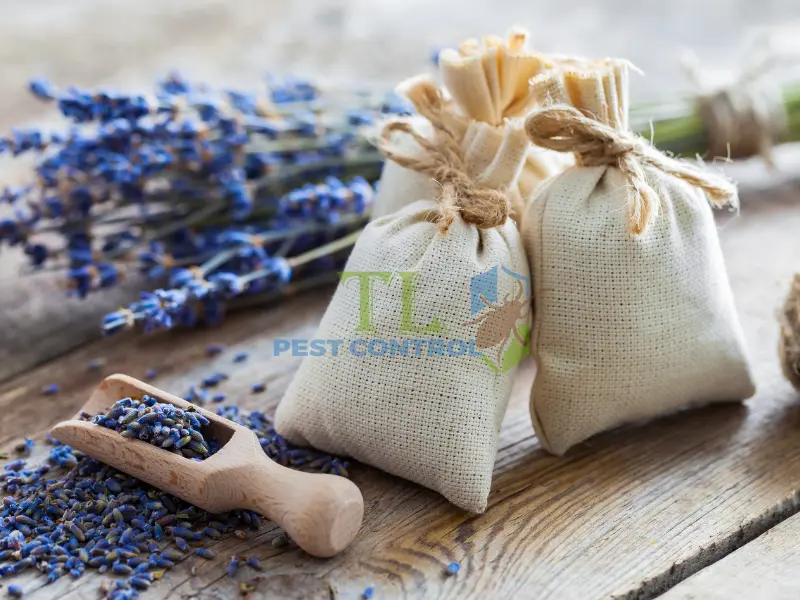 Lưu ý khi sử dụng túi đuổi muỗi tự làm