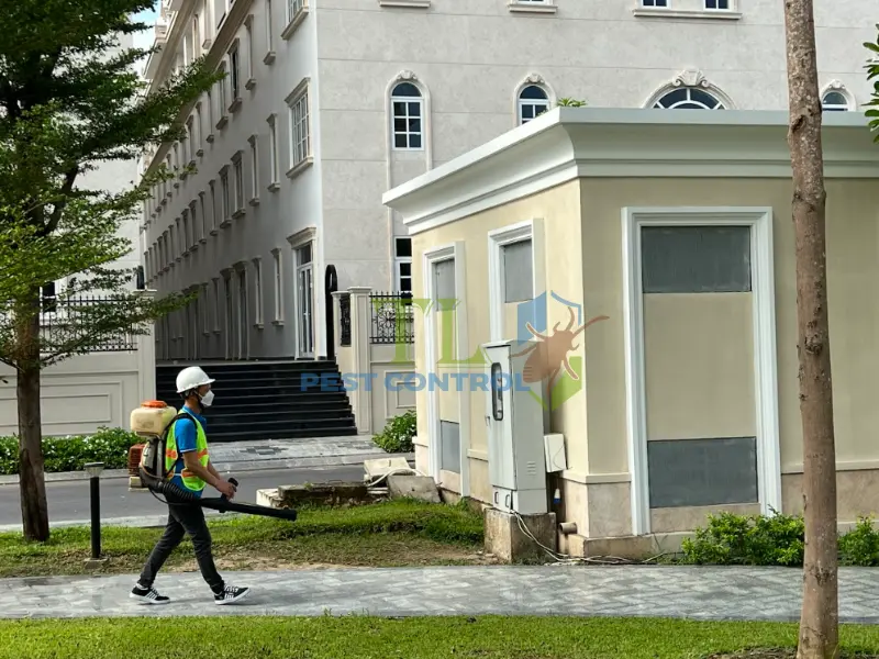 Tham khảo thêm các dịch vụ diệt mối Trần Long lân cận Tham khảo thêm các dịch vụ diệt mối Trần Long lân cận