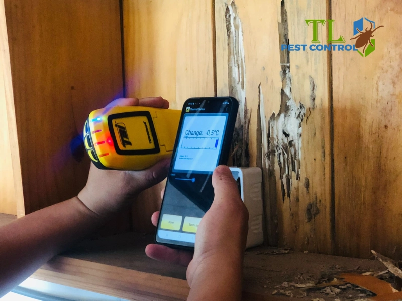 Phòng chống mối trước và sau khi xây