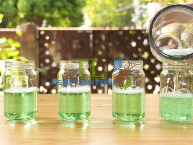 cách diệt kiến cho cây trồng
