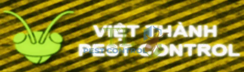 công ty diệt muỗi