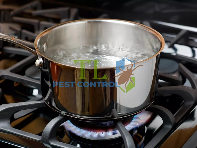 cách diệt mối trong tường nhà