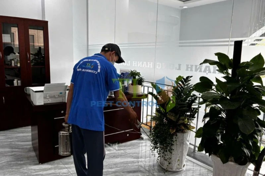 Dịch vụ diệt mối chuyên nghiệp từ Trần Long