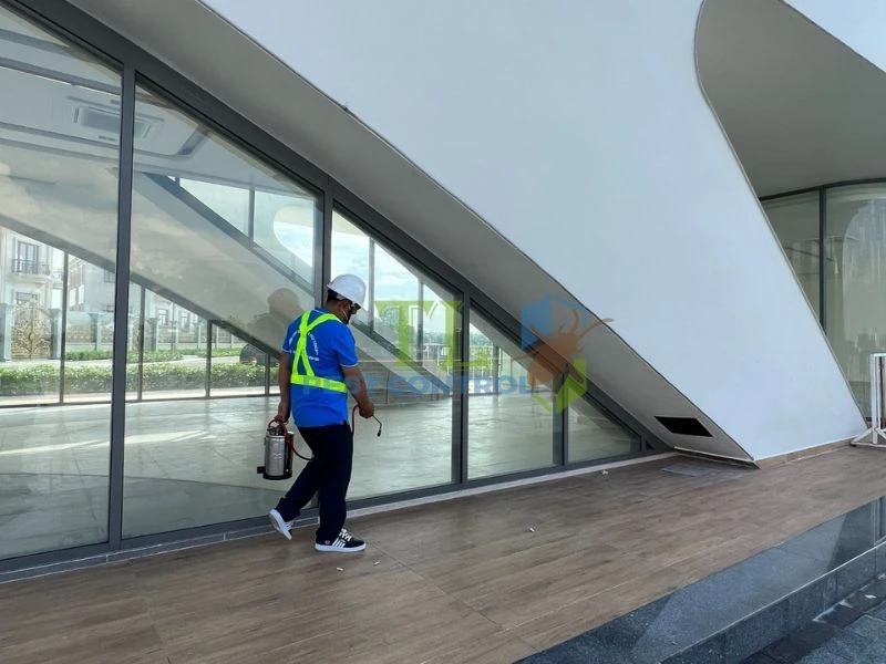 diệt mối móng nhà diệt mối móng nhà