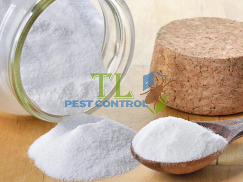 diệt mối trong tủ bếp