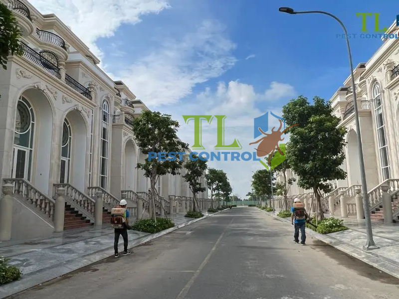 Dịch vụ phòng chống mối công trình tại Trung Mỹ Tây